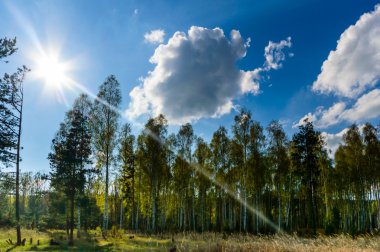 görüntü doğa serisi
