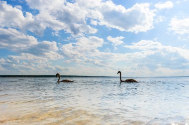 görüntü doğa serisi