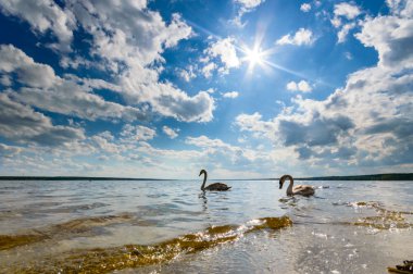 görüntü doğa serisi