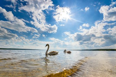 görüntü doğa serisi
