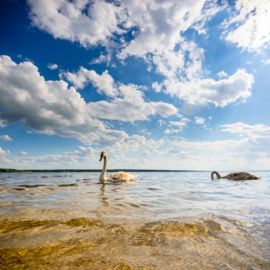 görüntü doğa serisi