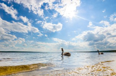 görüntü doğa serisi