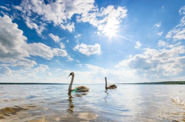 görüntü doğa serisi