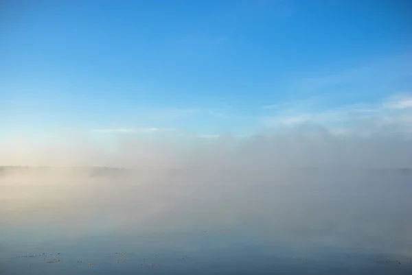 Obraz z serii natura — Zdjęcie stockowe