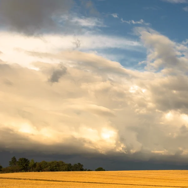 Bild aus der Natur-Serie — Stockfoto