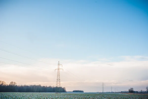 Bild från naturen-serien — Stockfoto