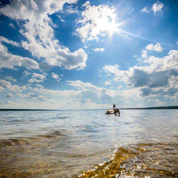 Immagine dalla serie natura — Foto Stock