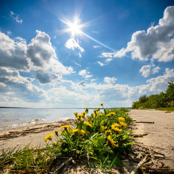 Beeld uit natuur-serie — Stockfoto