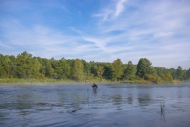 görüntü doğa serisi