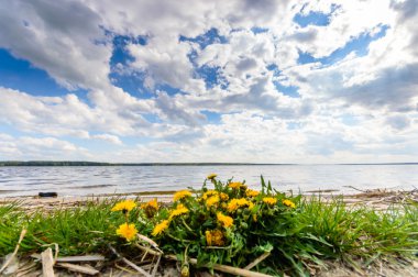 görüntü doğa serisi