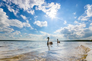 görüntü doğa serisi