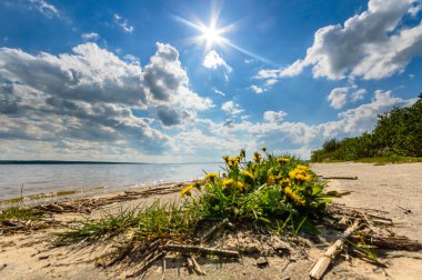 görüntü doğa serisi