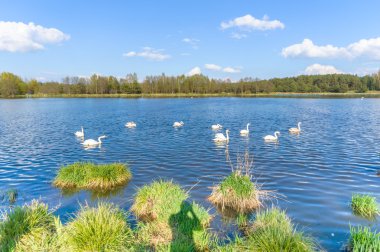 görüntü doğa serisi
