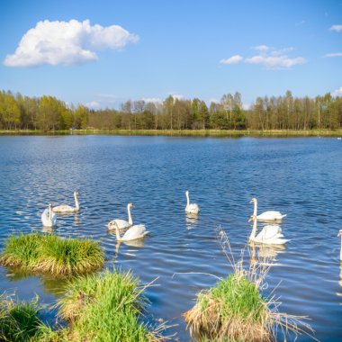 görüntü doğa serisi