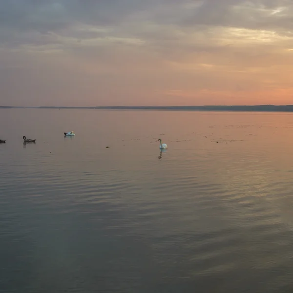 Imagem da série natureza — Fotografia de Stock