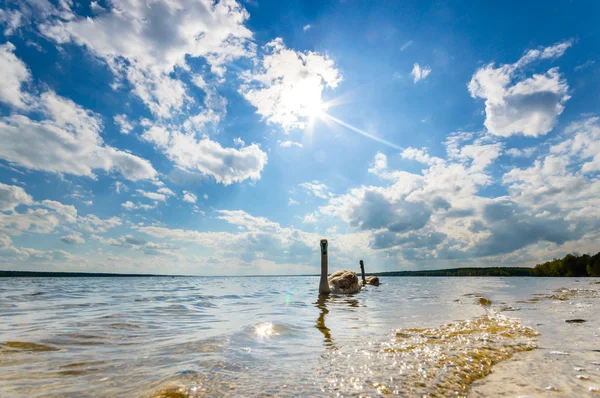 Immagine dalla serie natura — Foto Stock