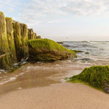 görüntü doğa serisi
