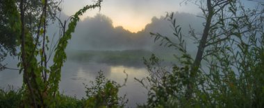görüntü doğa serisi