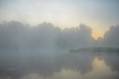 görüntü doğa serisi