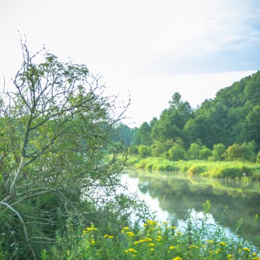 görüntü doğa serisi