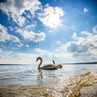 görüntü doğa serisi