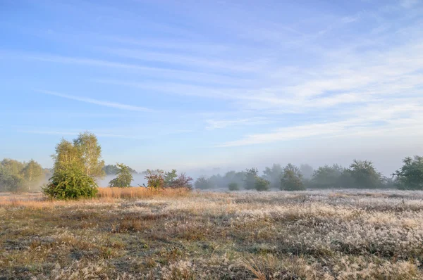 Immagine dalla serie natura — Foto Stock