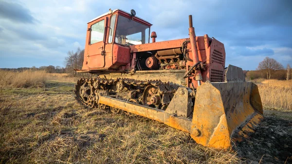 Зображення з серії природи — стокове фото