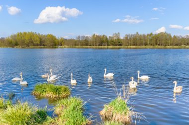görüntü doğa serisi
