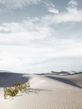 Gıda mixfood mixfood mix