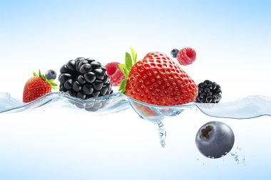 Gıda mixfood mixfood mix
