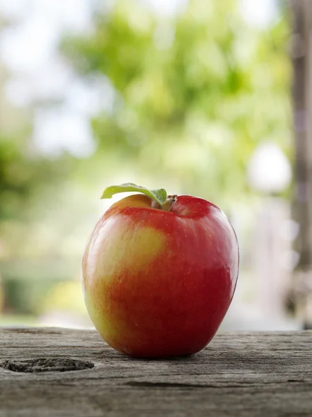 Mat mixfood mixfood blandning — Stockfoto