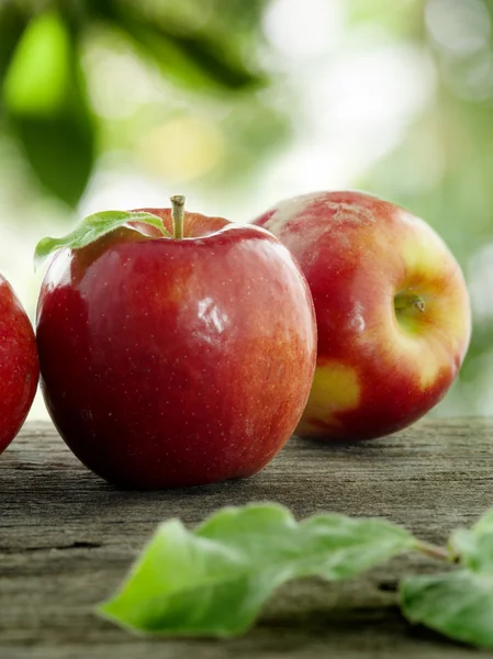 Vista de cerca de las manzanas frescas agradables en el fondo de color — Foto de Stock