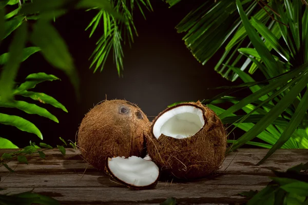 Zbliżenie ładny świeży kokos na tle zielonych liści — Zdjęcie stockowe