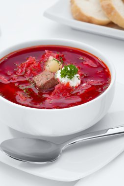 Güzel lezzetli kırmızı Rus çorbası bakış beyaz arka kapatın