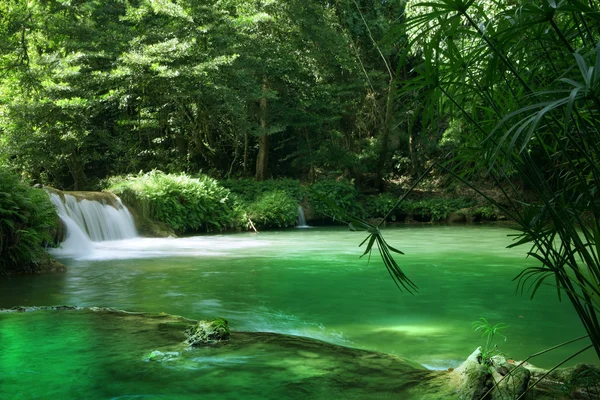 Summer waterfall summer waterfall summer waterfall — Stock Photo, Image