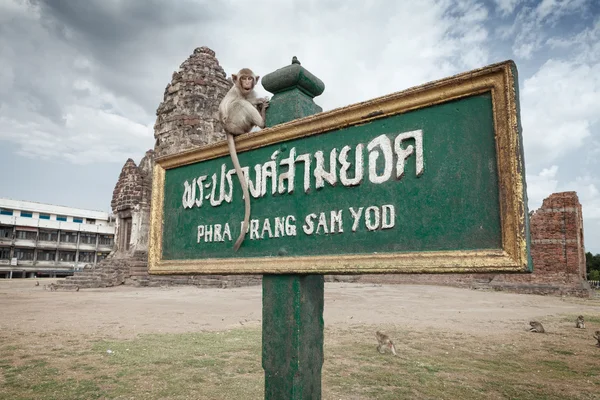 Scimmia vecchio tempio phra prang sam yod wat in Lopburi, Thailandia — Foto Stock