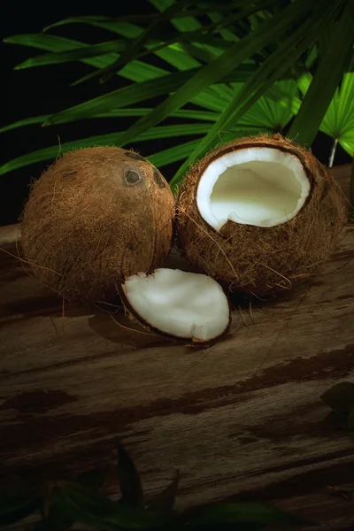 Zblízka pohled pěkný čerstvý kokos na pozadí zelený list — Stock fotografie