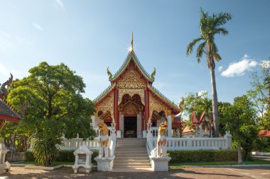 panoramik manzaralı güzel antik Budist Tay Tapınak