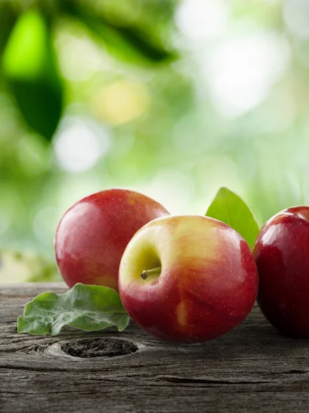 Vista de cerca de las manzanas frescas agradables en el fondo de color —  Fotos de Stock