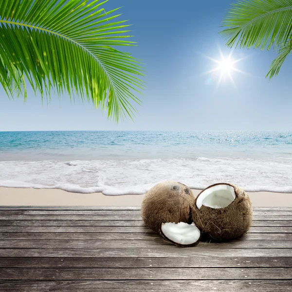 Close up view of nice fresh coconut in tropical environment Stock Photo