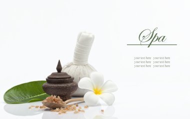 spa tema nesnesini bir bakış beyaz arka plan üzerinde. Aroma, banyo, sağlık, sağlık, sağlıklı, bitkisel, otlar, Masaj, spa, terapi,