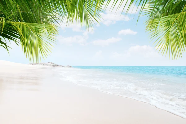 Vista da praia tropical agradável com algumas palmas — Fotografia de Stock