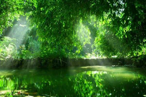 Panoramablick auf schönen Wasserfall und Teich in grüner tropischer Umgebung — Stockfoto