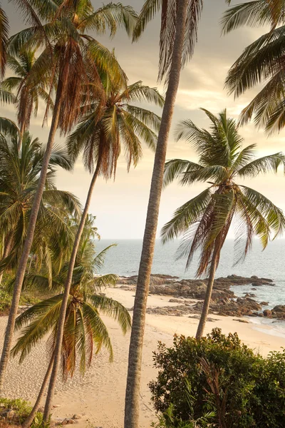 Vista da bela costa tropical durante o pôr do sol colorido — Fotografia de Stock