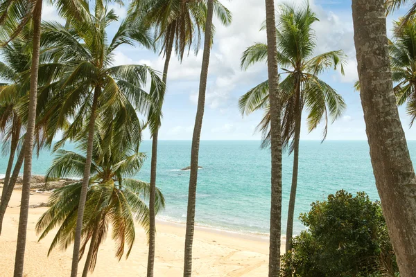 Vista de la bonita costa tropical durante el colorido atardecer — Foto de Stock