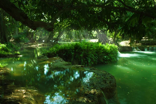 Vista panorâmica da cachoeira agradável e lagoa em ambiente tropical verde — Fotografia de Stock