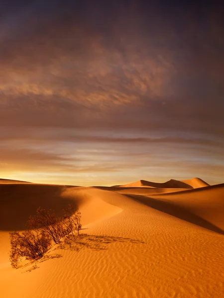 Vista de bonitas dunas de arena en el Parque Nacional Sands Dunes durante el atardecer —  Fotos de Stock