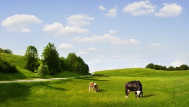 güzel yeşil tepe ows ile mavi gökyüzü arka plan üzerinde panoramik
