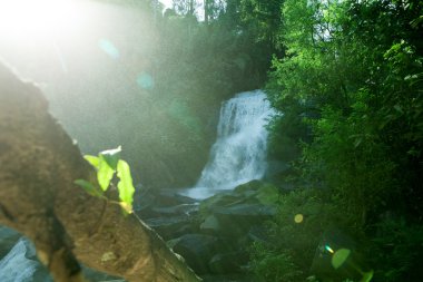  Mae Ya şelale Doiinthanon Milli Parkı Chiang Mai Tayland