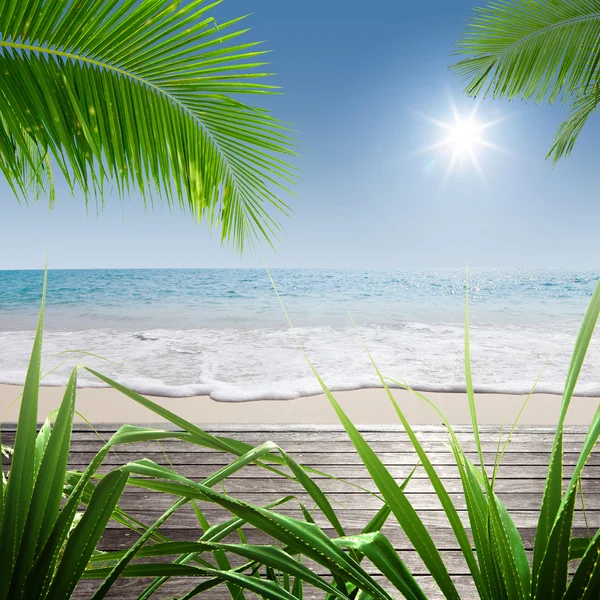 Blick auf schönen tropischen Strand mit einigen Palmen — Stockfoto